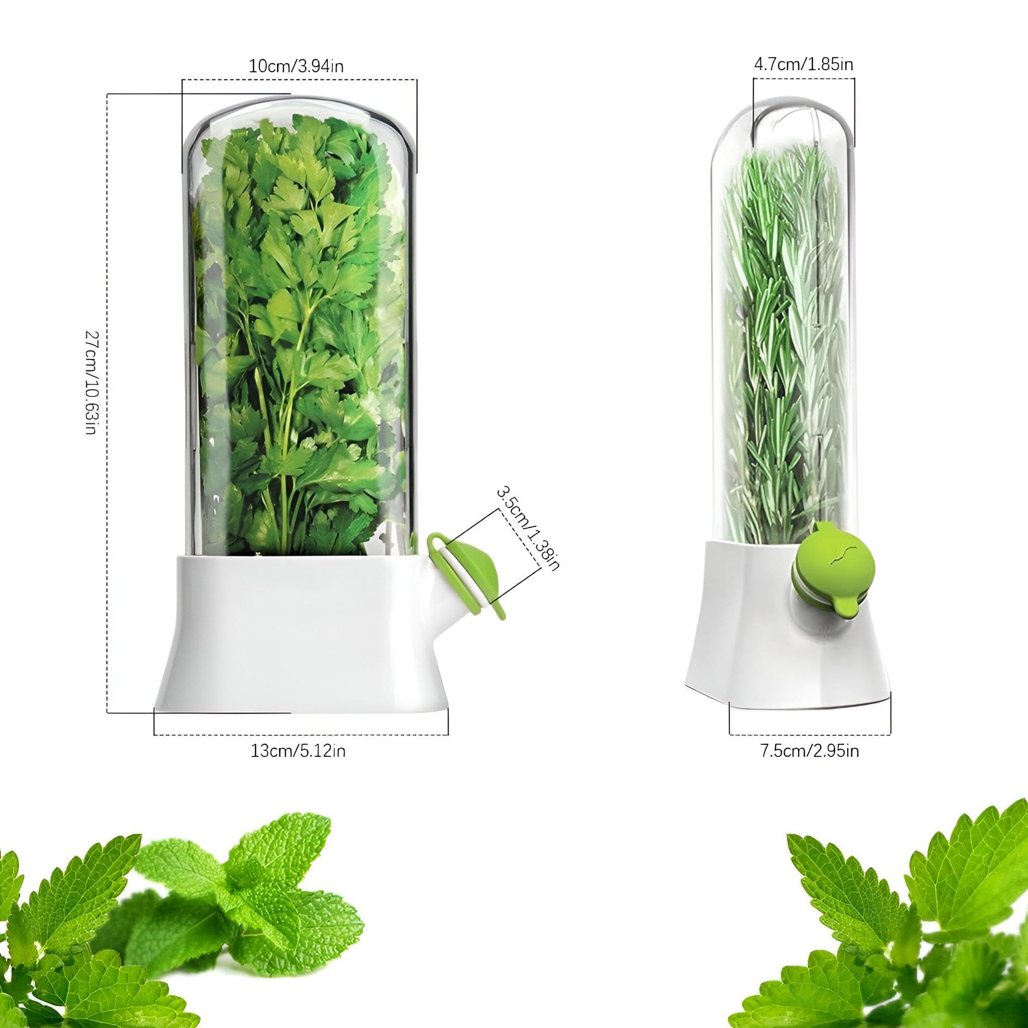 Glass Herb Keeper: Extend Freshness with Vertical Storage
