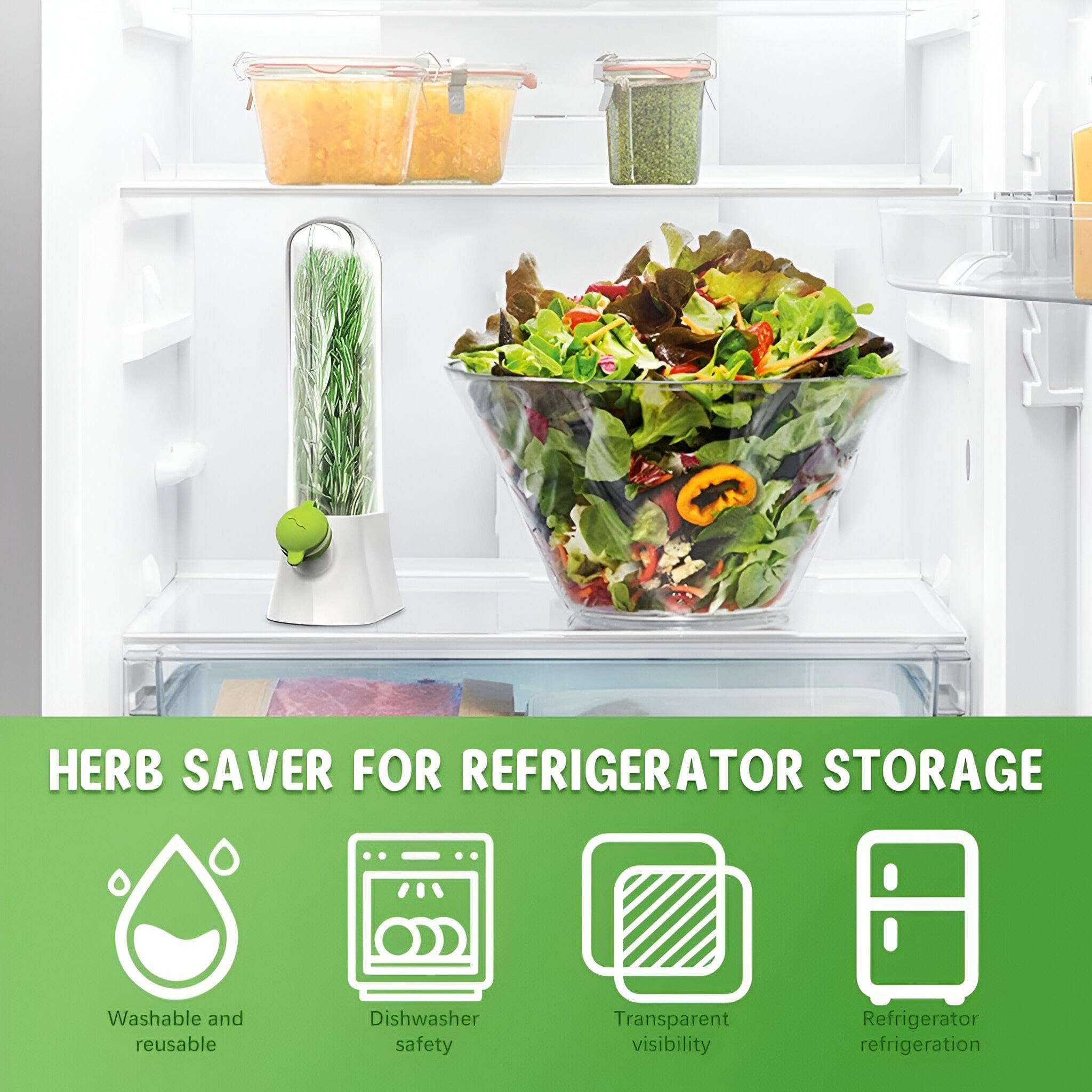 Glass Herb Keeper: Extend Freshness with Vertical Storage